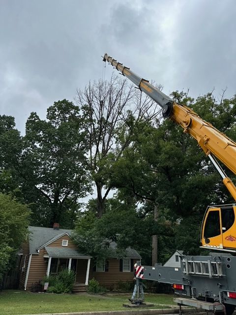 emergency tree removal company, tree trimming, tree pruning, stump grinding, stump removal, tree care specialists, land clearing company, turner's tree service