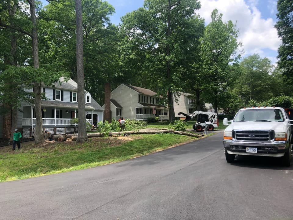 emergency tree removal company, tree trimming, tree pruning, stump grinding, stump removal, tree care specialists, land clearing company, turner's tree service