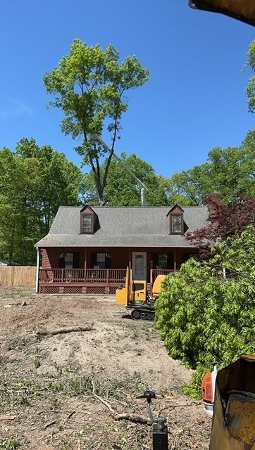 emergency tree removal company, tree trimming, tree pruning, stump grinding, stump removal, tree care specialists, land clearing company, turner's tree service