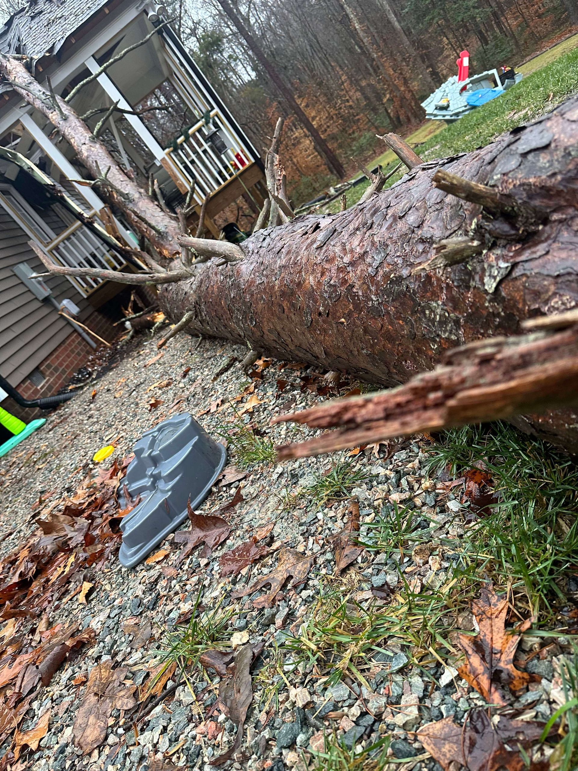 tree removal company richmond va, tree cutting, chainsaws, tree cranes, tree equipment, tree trimming, emergency storm damage cleanup