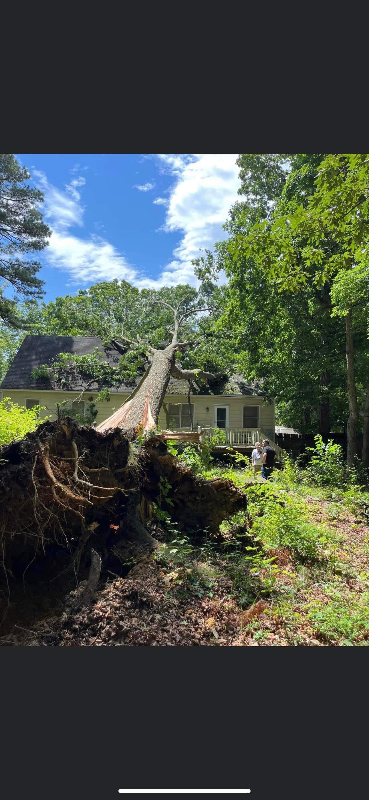 tree removal company richmond va, tree cutting, chainsaws, tree cranes, tree equipment, tree trimming, emergency storm damage cleanup