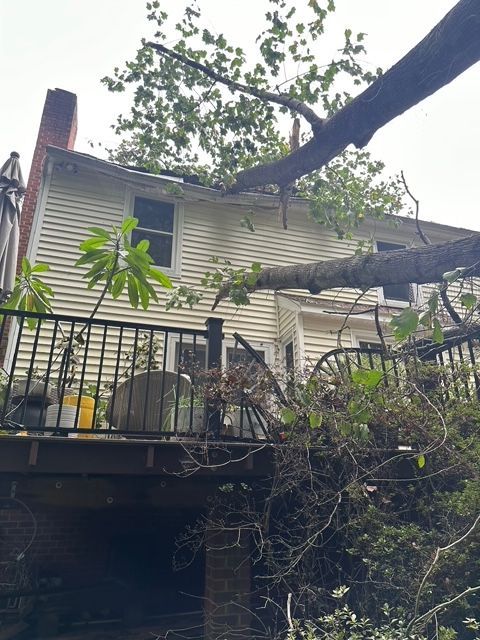 emergency tree removal company, tree trimming, tree pruning, stump grinding, stump removal, tree care specialists, land clearing company, turner's tree service