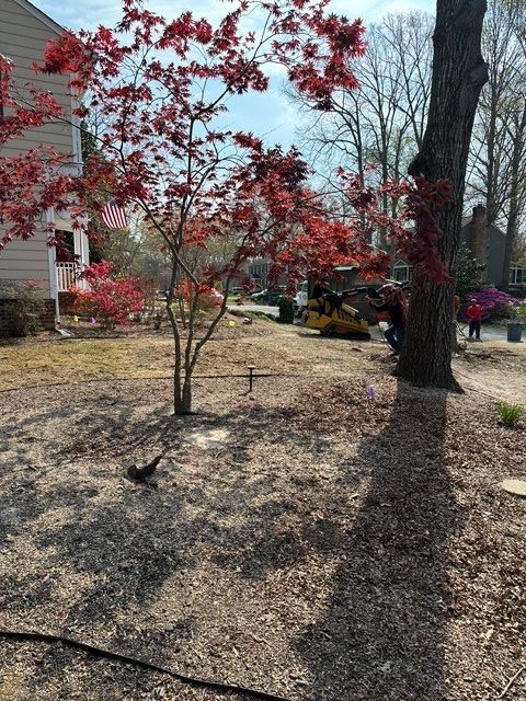tree removal chesterfield va, tree removal company, affordable tree removal, licensed arborist in midlothian va, midlothian tree removal company