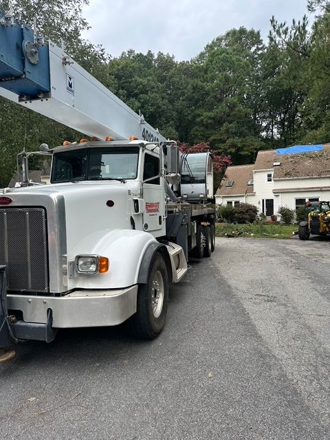 tree removal chesterfield va, tree removal company, affordable tree removal, licensed arborist in midlothian va, midlothian tree removal company