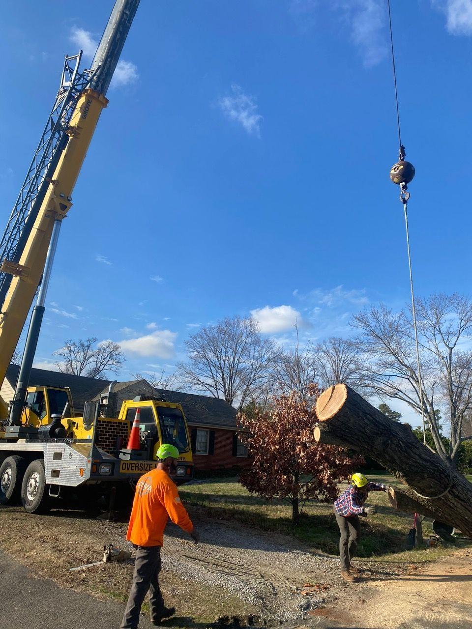 tree removal chesterfield va, tree removal company, affordable tree removal, licensed arborist in midlothian va, midlothian tree removal company