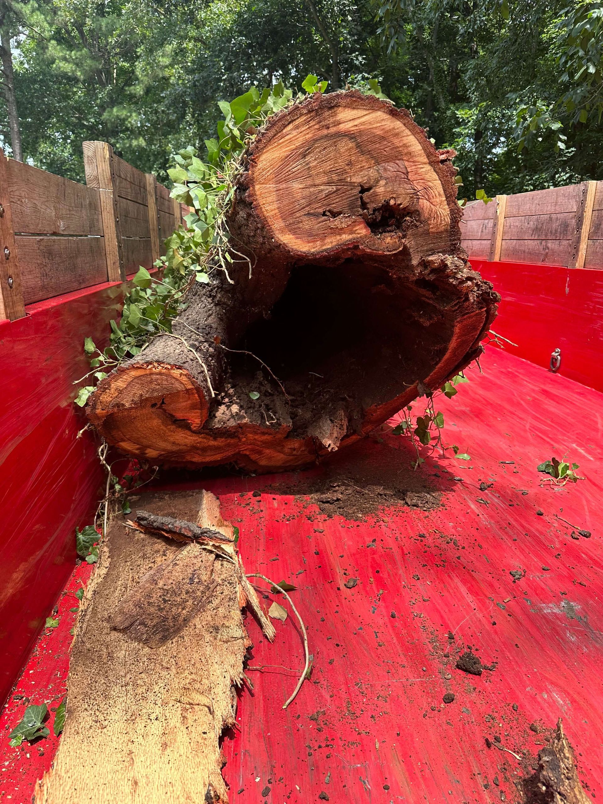 tree removal company richmond va, tree cutting, chainsaws, tree cranes, tree equipment, tree trimming, emergency storm damage cleanup