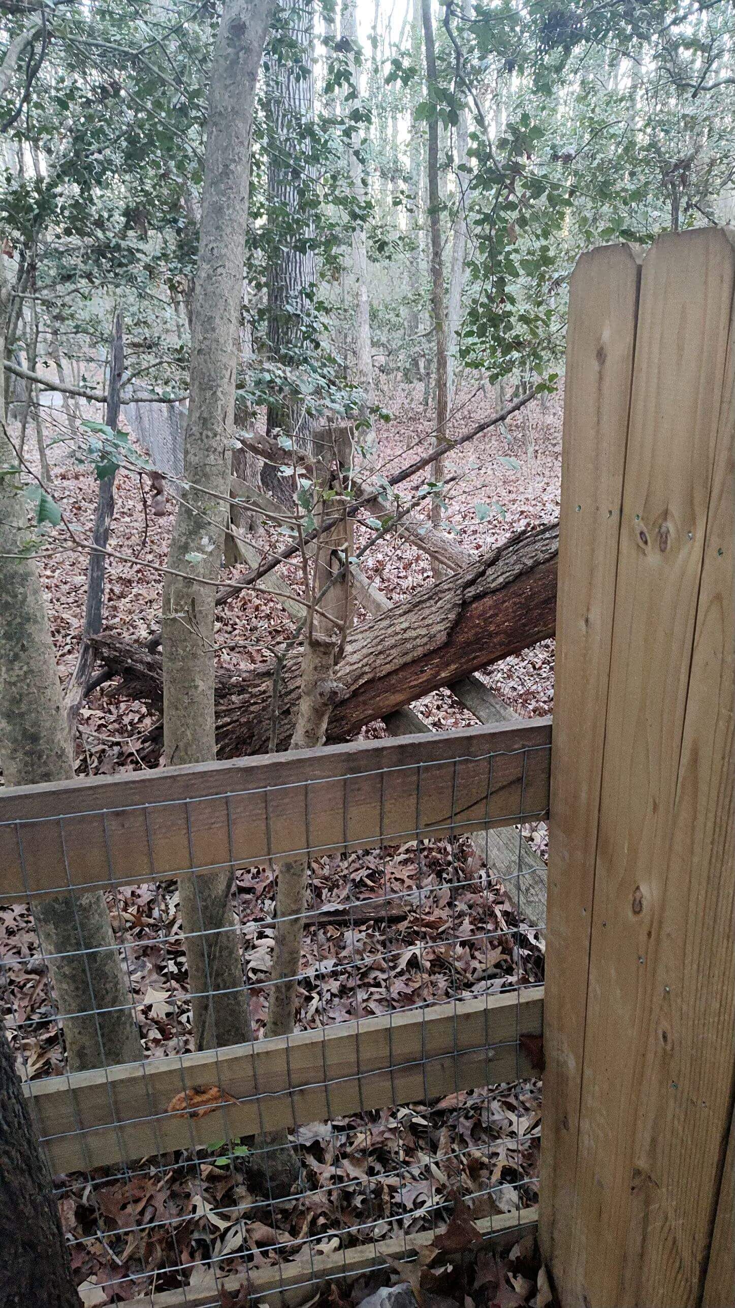 uprooted trees, emergency tree service, tree removal company midlothian va, turners tree service