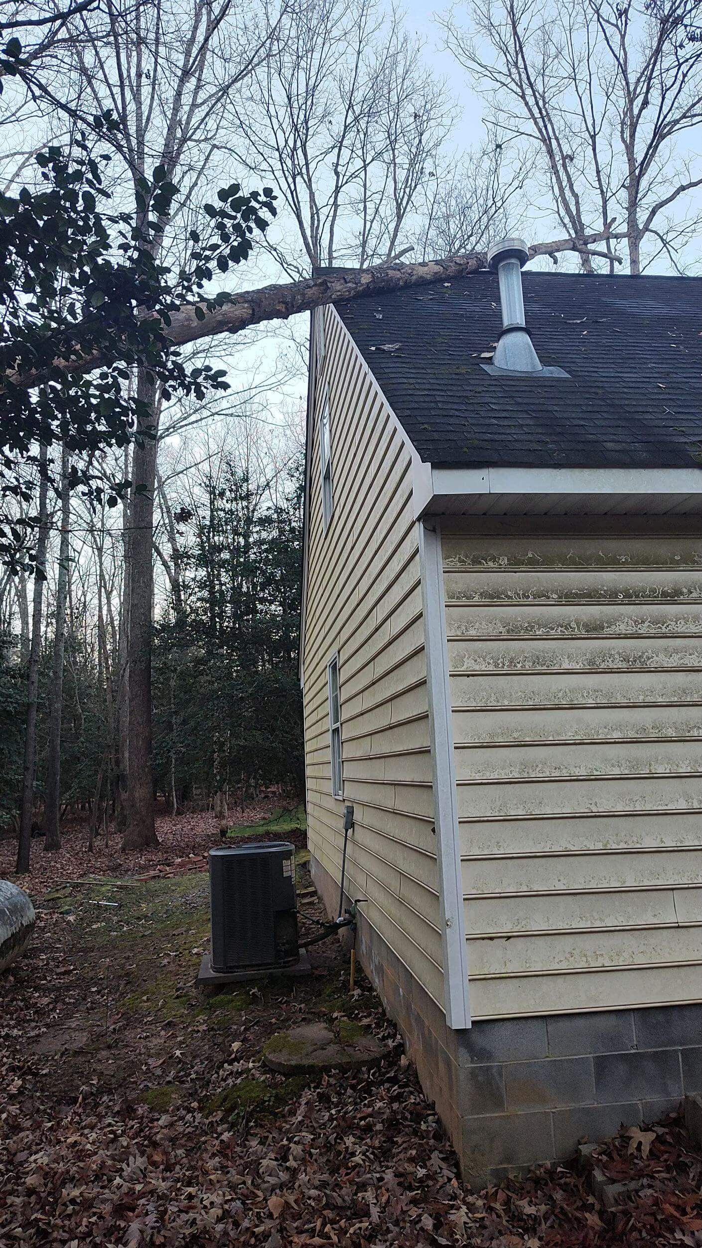 uprooted trees, emergency tree service, tree removal company midlothian va, turners tree service