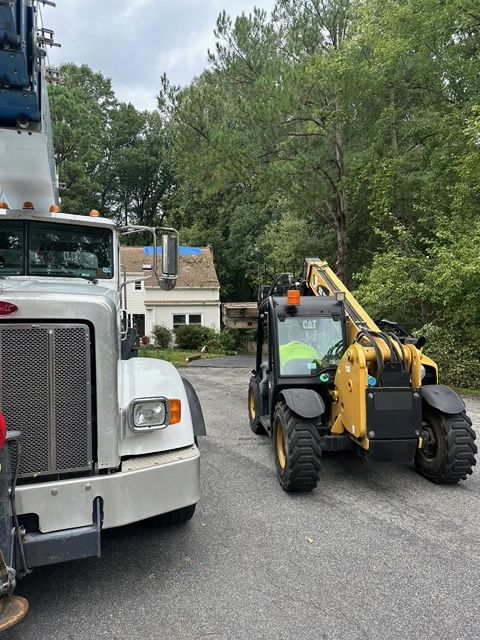 tree removal chesterfield va, tree removal company, affordable tree removal, licensed arborist in midlothian va, midlothian tree removal company