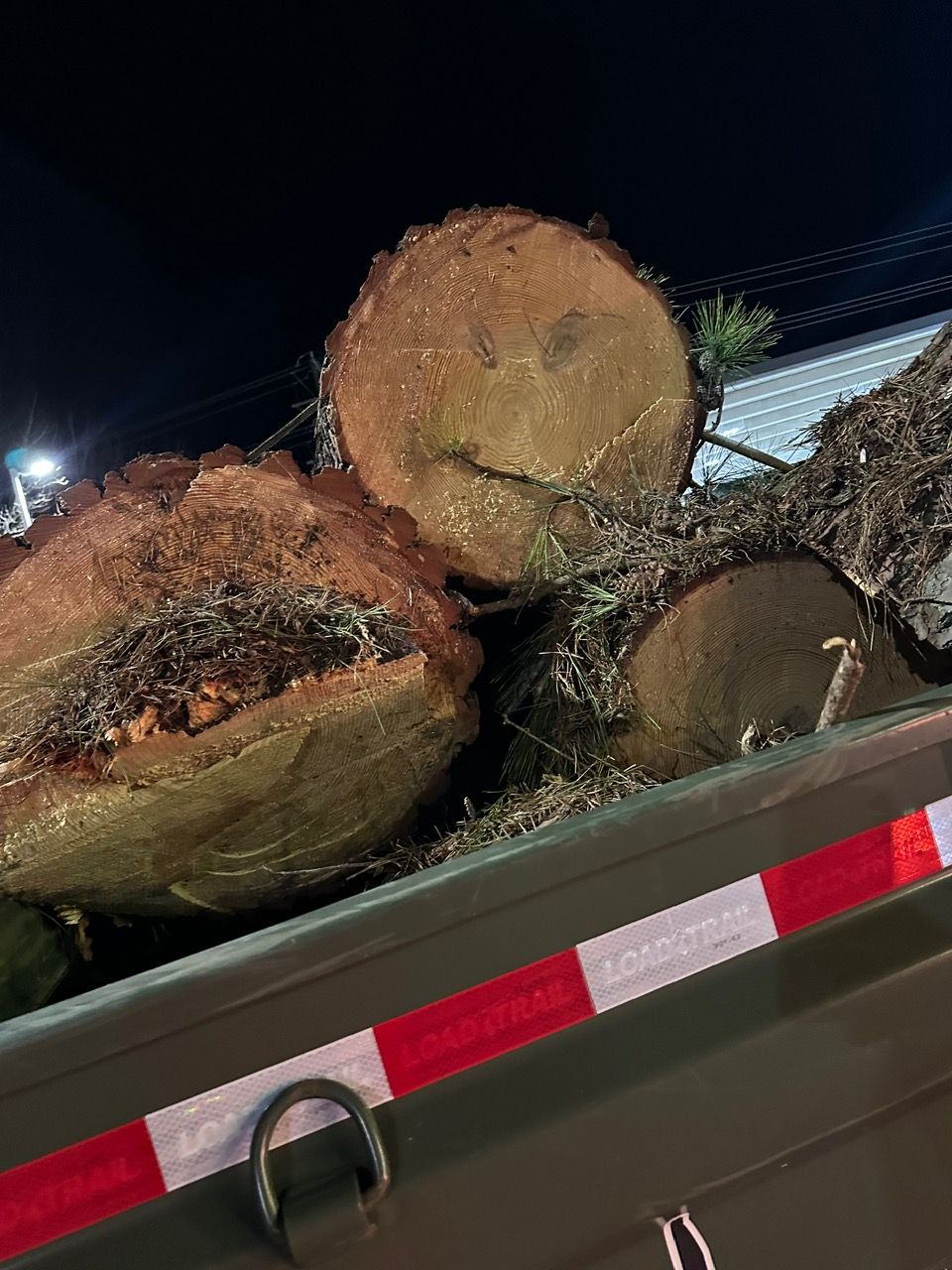 tree removal chesterfield va, tree removal company, affordable tree removal, licensed arborist in midlothian va, midlothian tree removal company