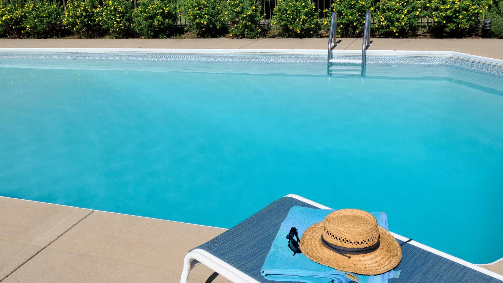 Beautiful Concrete Pool Surrounds In Ashfield