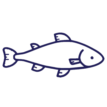 Fish icon for O'Donnell Park Barging Ltd in Picton NZ