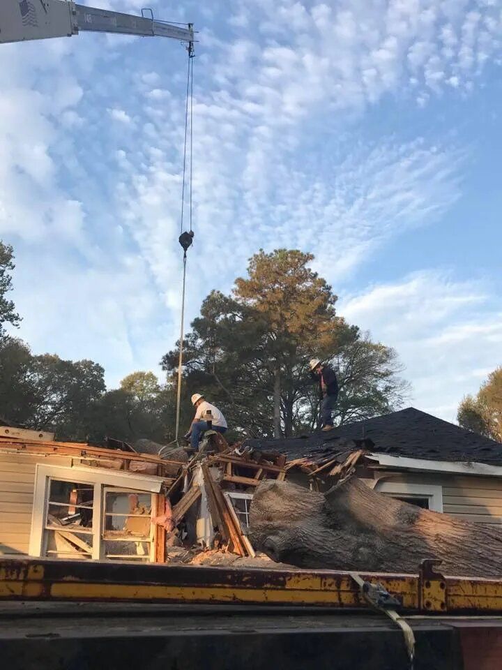 Man is Driving a Bulldozer — Sanford, NC — Phil Stone & Sons Tree Removal