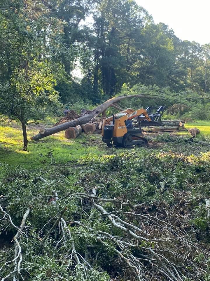 Bulldozer is Cutting Down a Tree — Sanford, NC — Phil Stone & Sons Tree Removal