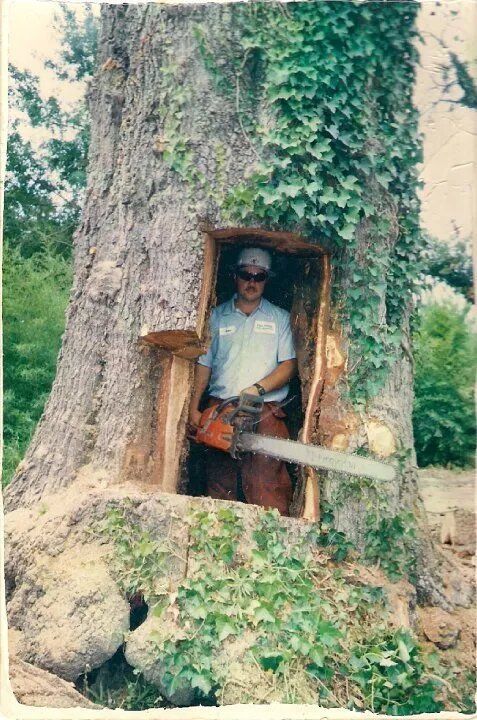 Man is Cutting a Tree With a Chainsaw — Sanford, NC — Phil Stone & Sons Tree Removal