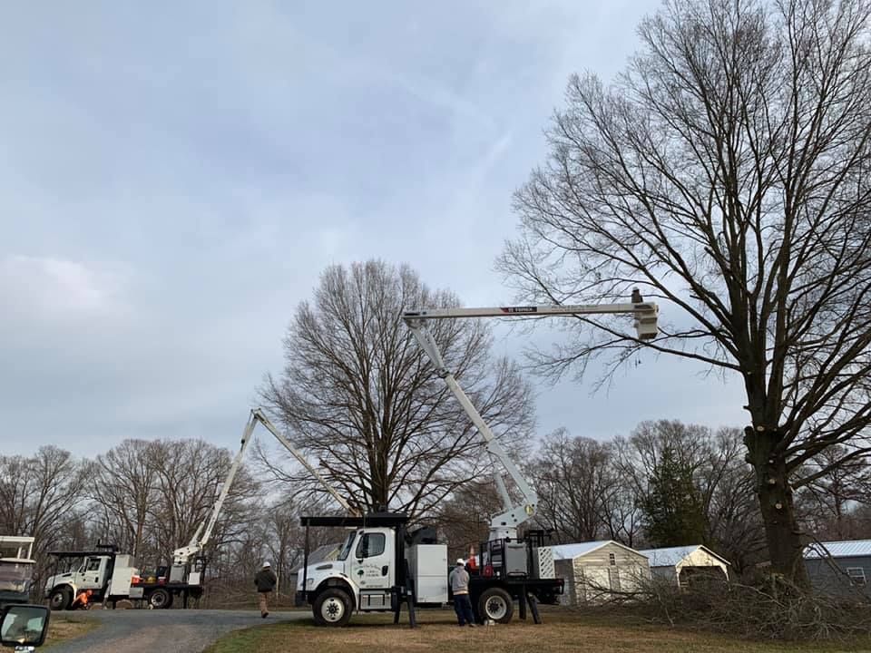 Couple of Trucks Are Parked Next to Each Other — Sanford, NC — Phil Stone & Sons Tree Removal