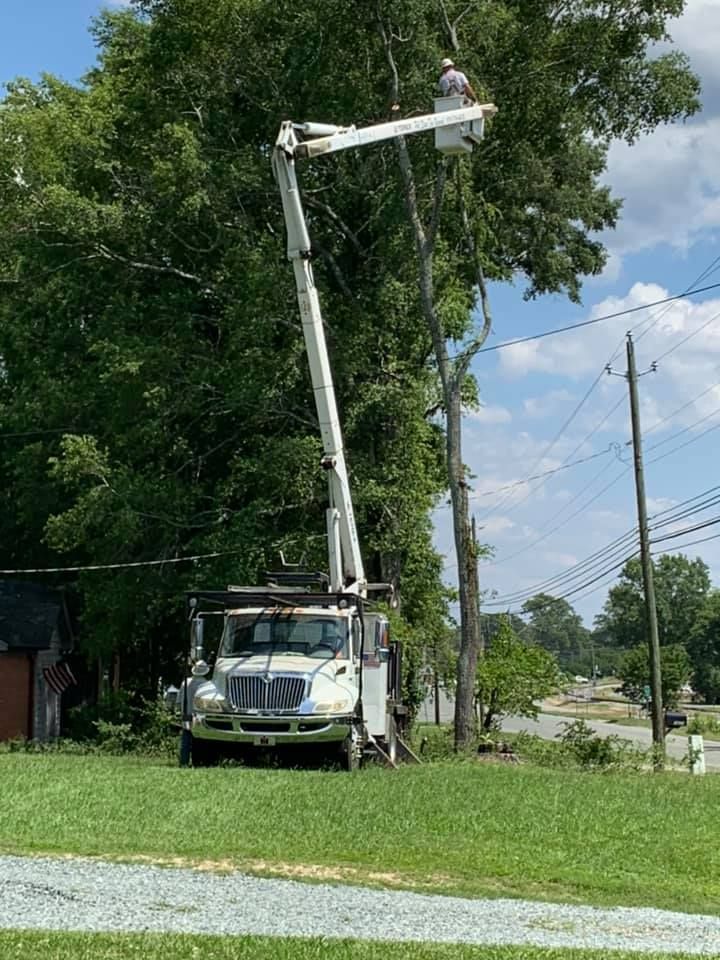 White Truck is Parked in a Grassy Field — Sanford, NC — Phil Stone & Sons Tree Removal