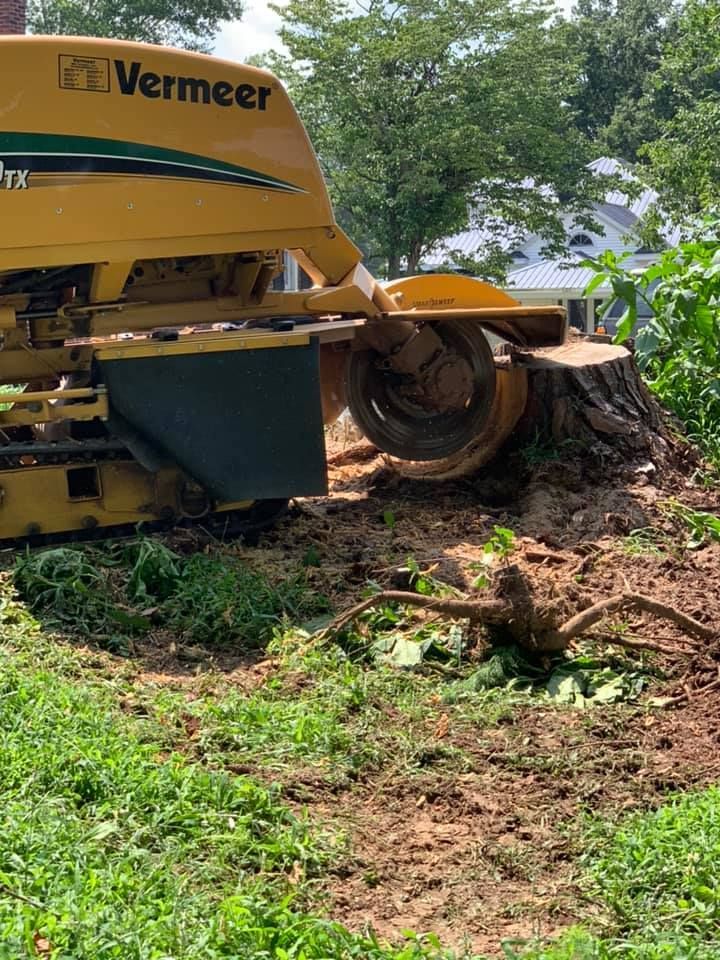 Yellow Vermeer Stump Grinder — Sanford, NC — Phil Stone & Sons Tree Removal