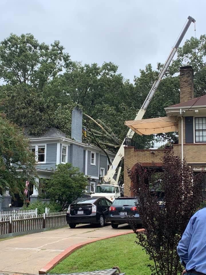 Crane is Lifting a Tree From the Roof — Sanford, NC — Phil Stone & Sons Tree Removal