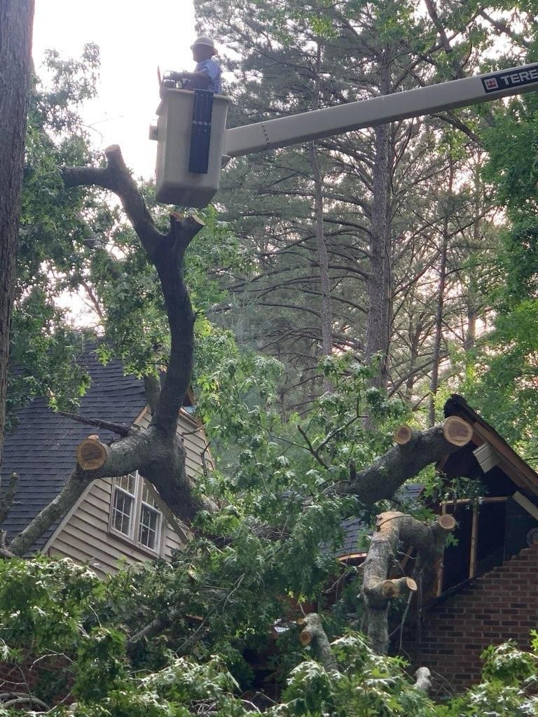 Crane is Cutting a Tree in Front of a House — Sanford, NC — Phil Stone & Sons Tree Removal