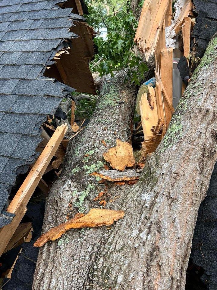 Tree That Has Fallen on Top of a House — Sanford, NC — Phil Stone & Sons Tree Removal