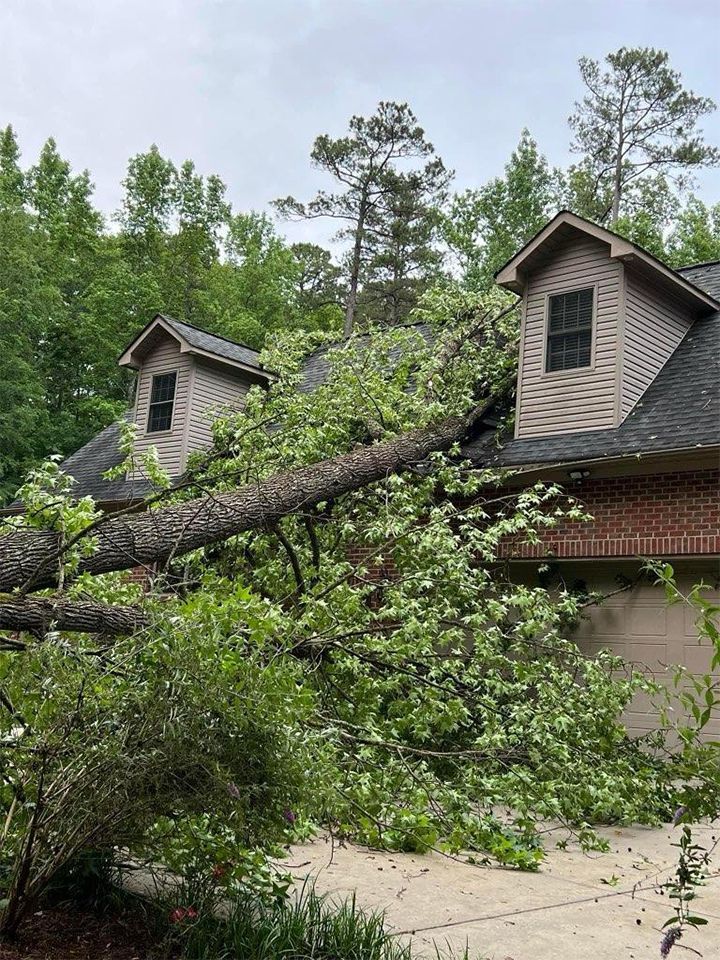 Tree Has Fallen on the Roof of a House — Sanford, NC — Phil Stone & Sons Tree Removal