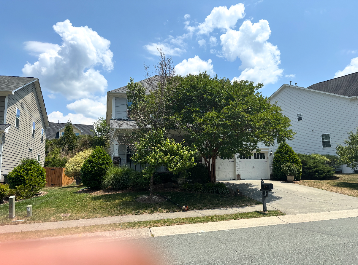 Front yard before tree work, with two mature trees crowding the home’s facade and roofline