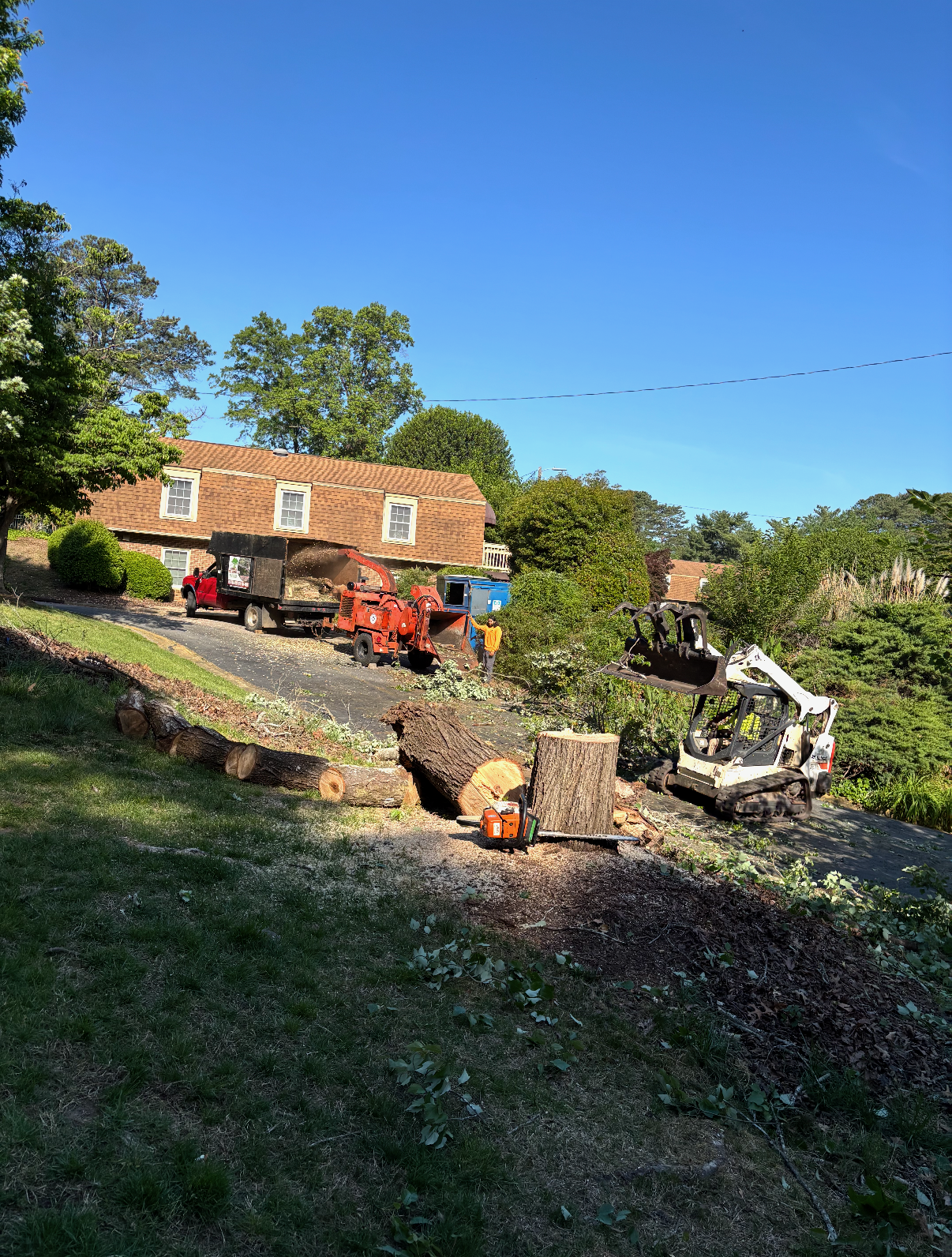 Major residential tree removal in progress with chip truck, grapple skid steer, and mini-excavator on site