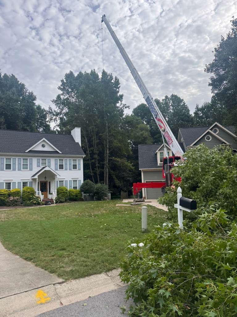 Red white and blue crane set up between two houses in a tight subdivision for a large tree removal