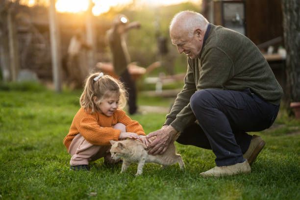 Grandfather and granddaughter pet a cat together in a sunny backyard. Both smile as they interact with the animal.