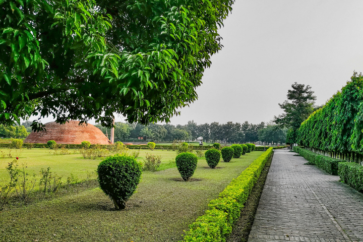 Park walkway lined with neatly trimmed hedges and trees, featuring a manicured lawn under a clear sky