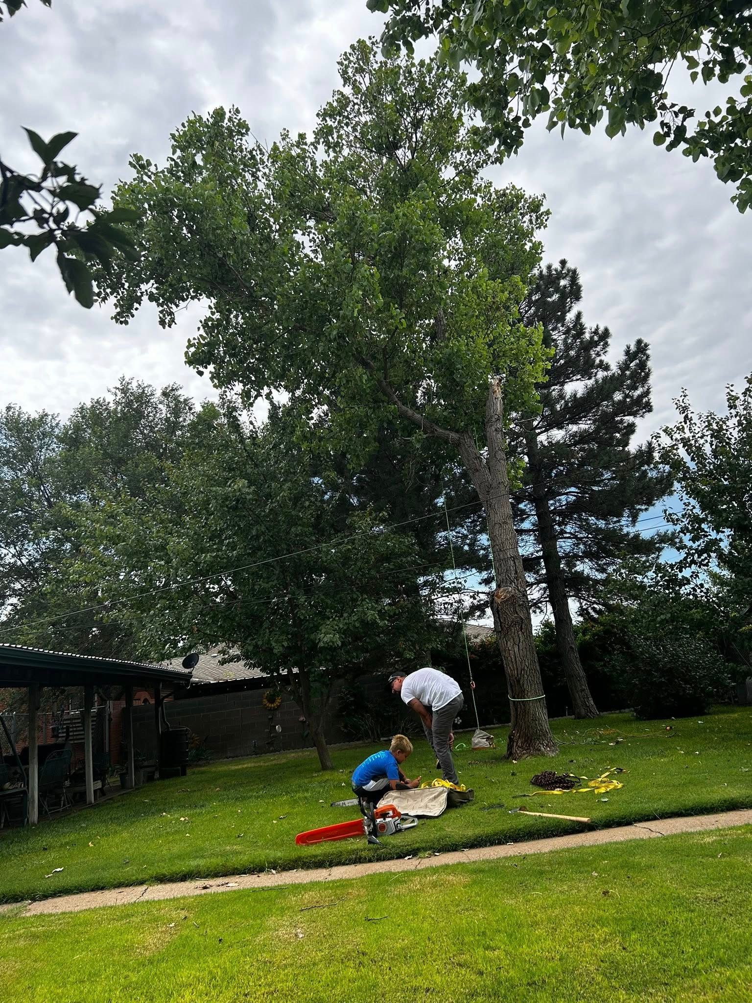 Two people near tree with chainsaw on grass, cloudy day.