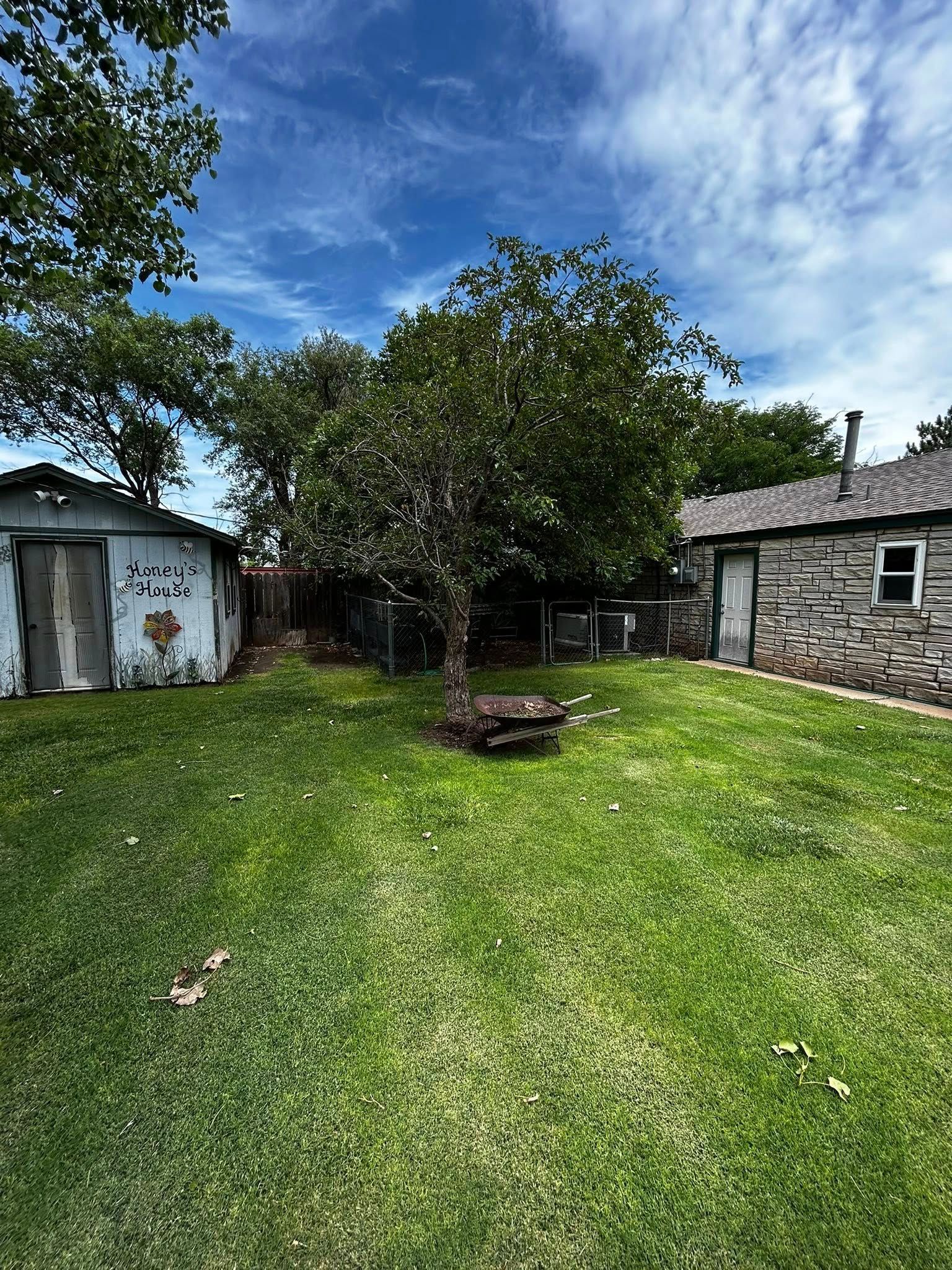 Backyard with a small tree, shed, log cabin, and green grass under a partly cloudy sky.