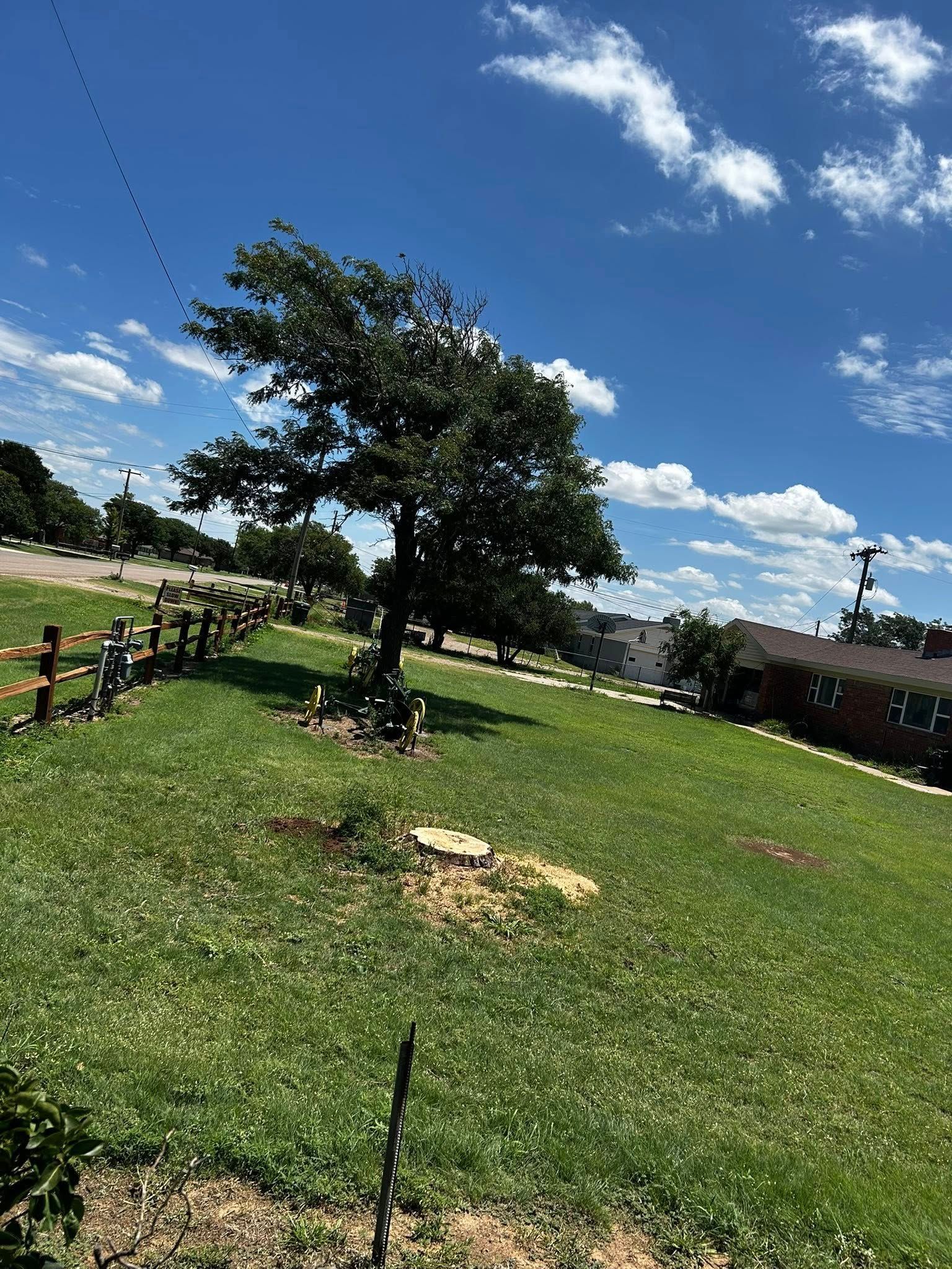 Green grassy hill with a tree, fence, and bright blue sky with clouds.