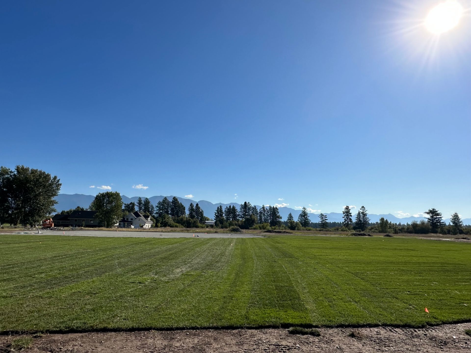 A lush green field with trees and mountains in the background