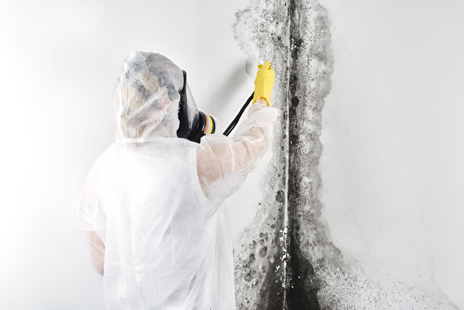 Person in protective gear cleaning mold from a wall