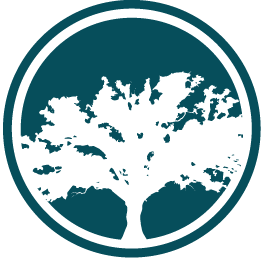 Big Tree Medical | Get in Touch