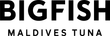 The logo for bigfish maldives is black and red on a white background.