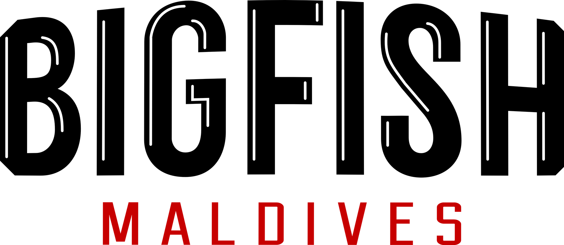 The logo for bigfish maldives is black and red on a white background.