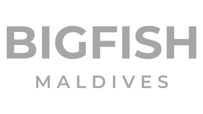 A white background with a few lines on it