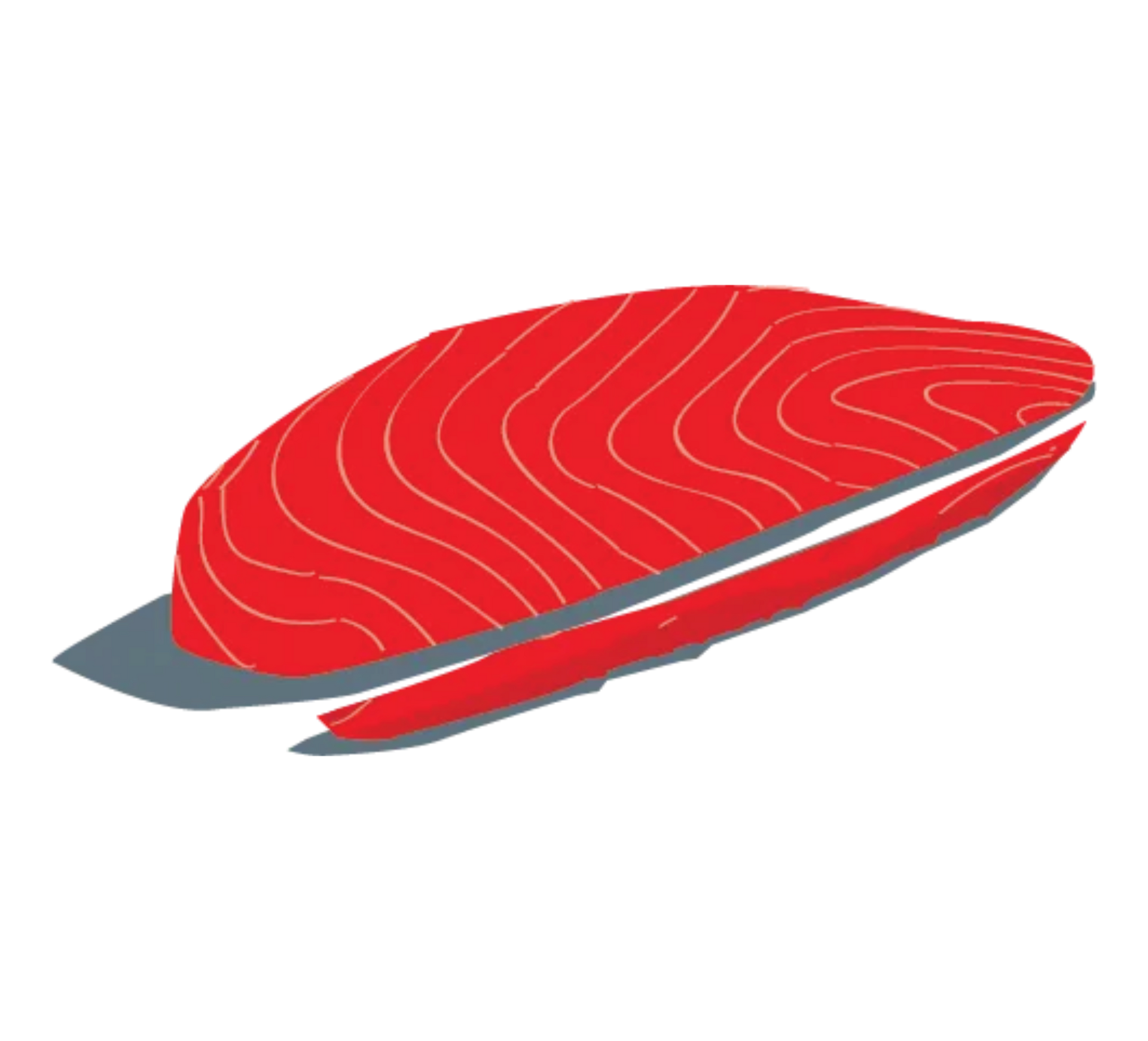 An illustration of a piece of salmon on a plate.