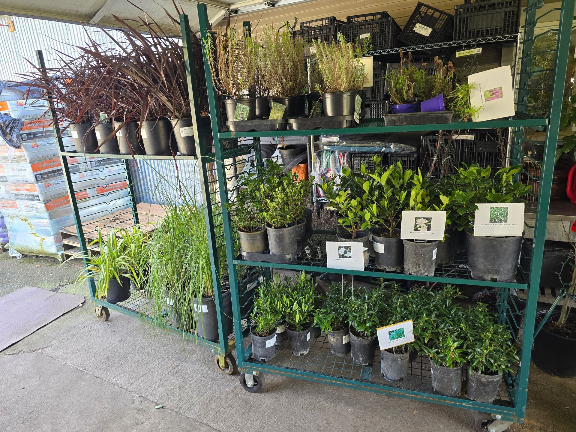 Plants Nursery - Tukwila, WA - Rosso Nursery