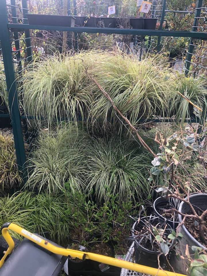 A bunch of potted plants are sitting on top of each other in a garden.