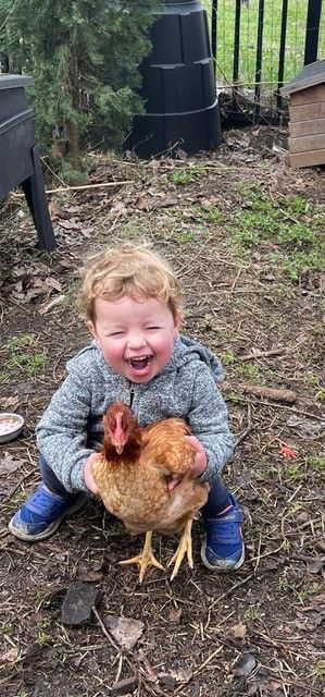 Little Boy Feeding Chicken — Macarthur, ACT — TeddyBears Childcare Centre