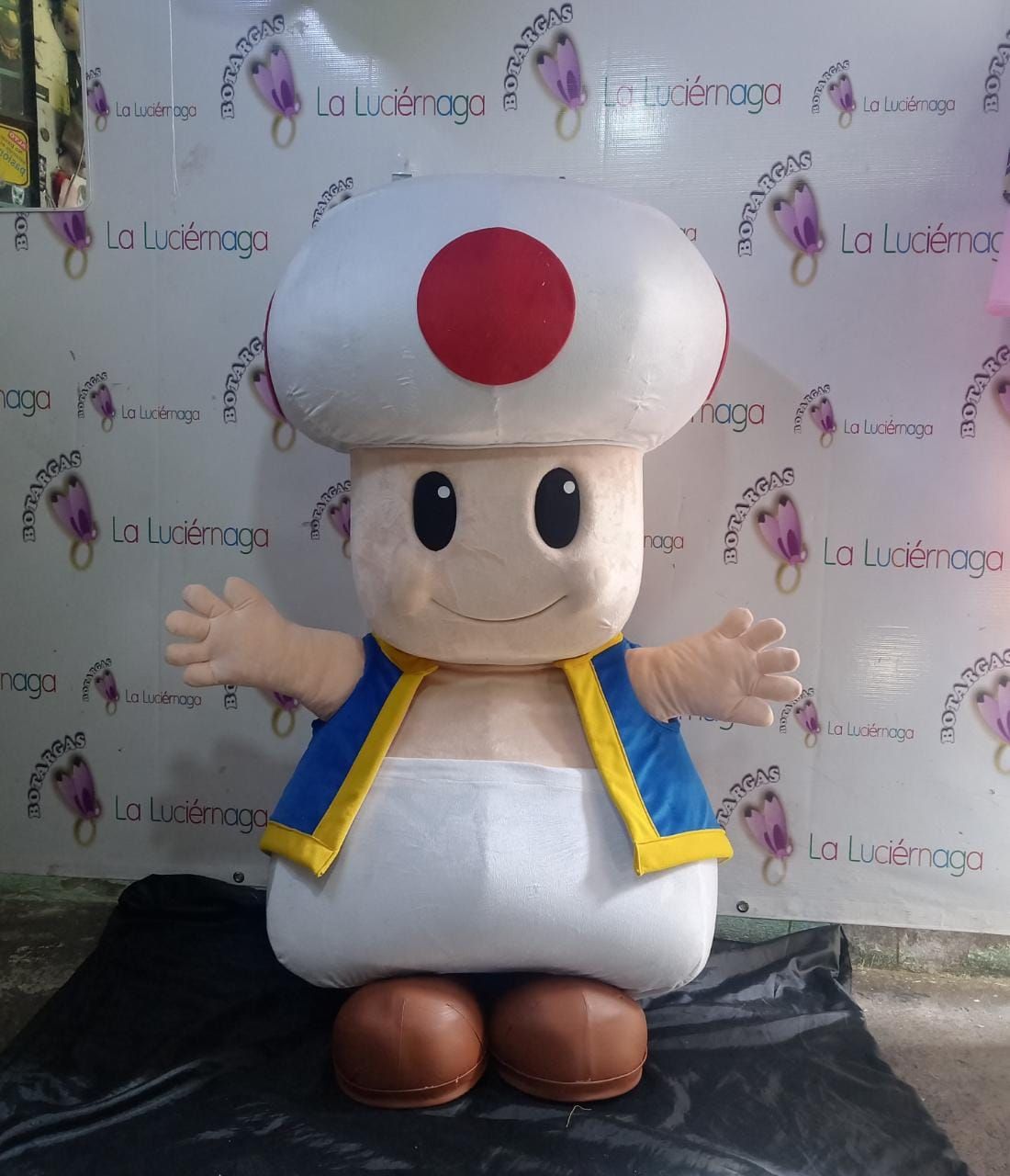 BOTARGAS LA LUCIÉRNAGA  -