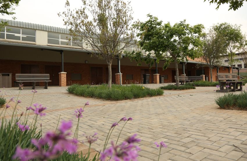 a brick courtyard with purple flowers in the foreground