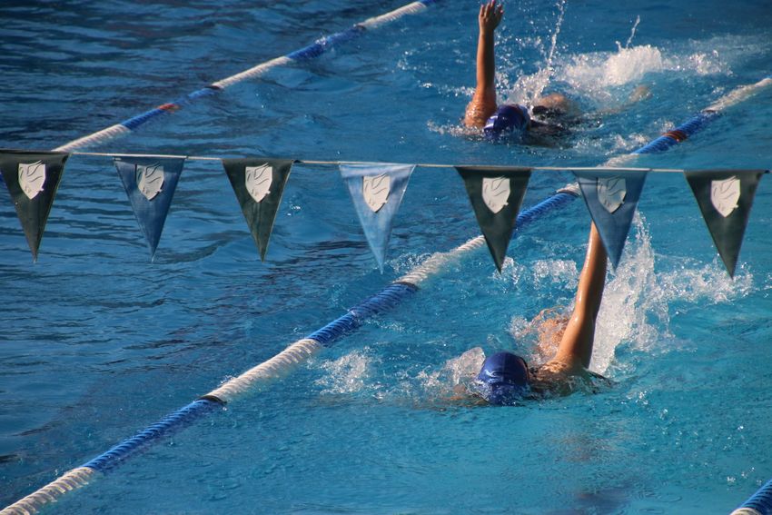 a group of students are swimming in a pool .