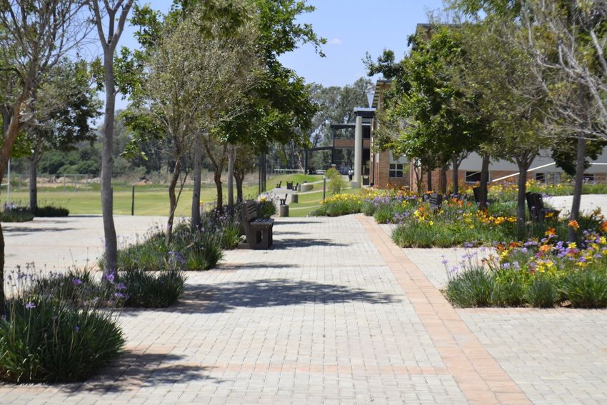 a brick walkway lined with trees and flowers in a park