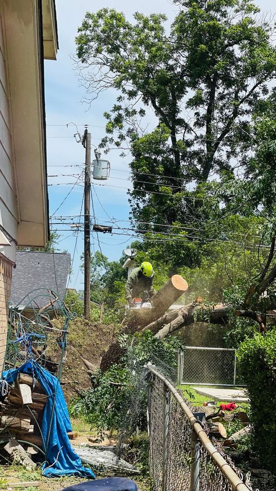 Narrow backyard with a blue tarp, trees, a utility pole, and a fence beside a building on a sunny day