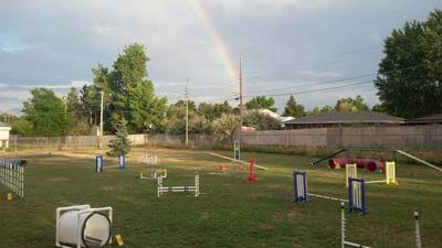 Training Field - Dog school in Lakewood, CO